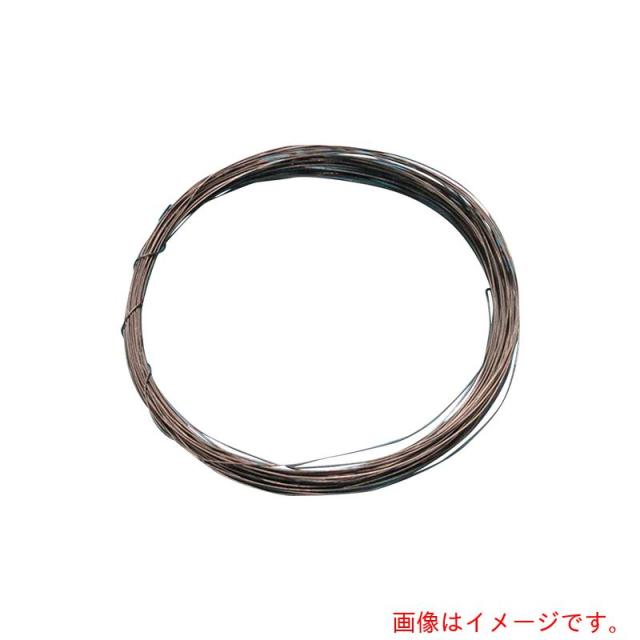 アズワン　ＡＳ　熱電対素線ＣＡ?φ１．０　２本　【品番：3-3117-03】 15,699円