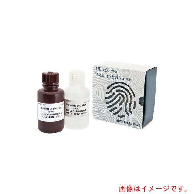 アズワン ＡＳ ウェスタンブロット用細胞間物質 ＣＣＨ３２１? 【品番：4-2510-02】