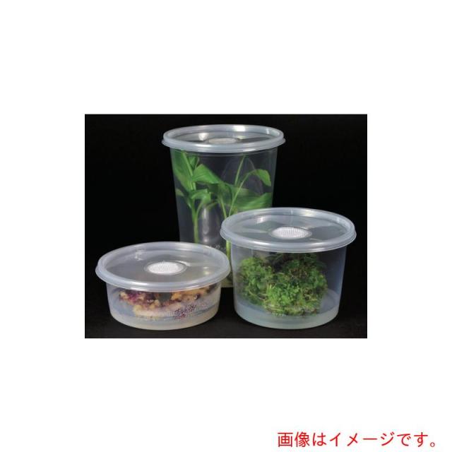 アズワン　ＡＳ　植物培養容器　Ｃ１７４?２５ＥＡ　２５個　【品番：4-4847-08】
