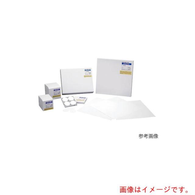 アズワン　ＡＳ　ガラス濾紙ＧＤ?１２０　□３００　１０枚　【品番：4-908-76】