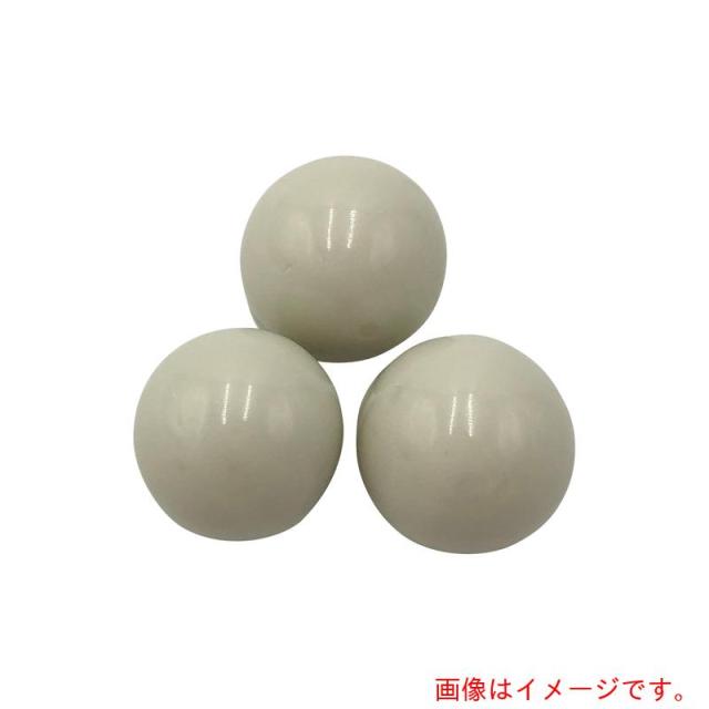 アズワン　ＡＳ　アルミナボールＳＳＡ?９９９Ｗ?１０　【品番：5-4058-02】