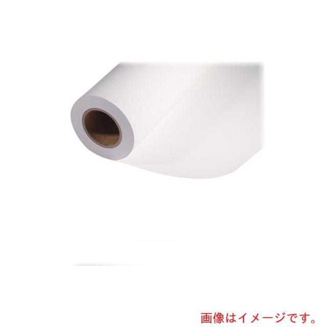 アズワン　ＡＳ　ＣＰ２５０　マットコート紙６１０ｍｍ２本　【品番：63-1275-27】