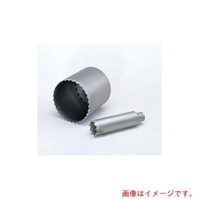 BOSCH（ボッシュ） ポリ鳴らす 振りまわす中核グループ裁断師 【品番：PSI-120C】