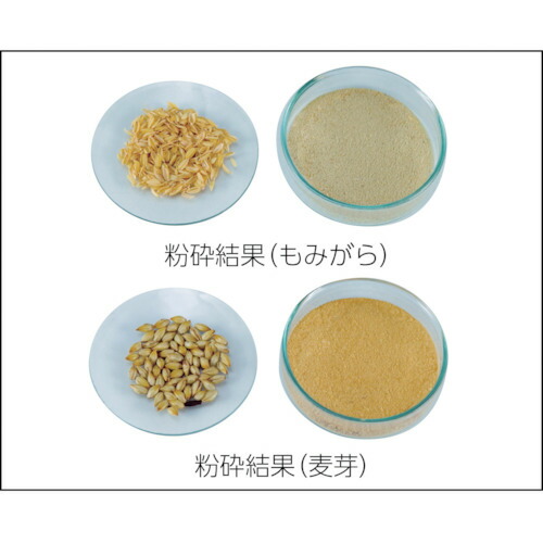 大阪ケミカル　ＷＡＲＩＮＧ　エキストリーム用ポリカーボネイト容器２Ｌ　【品番：CAC95】_1