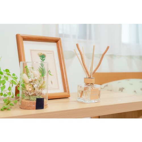アース製薬　アース　芳香剤　Ｓｕｋｋｉ−ｒｉ！ＣＯＲＫ＋ＳＴＩＣＫ−Ｐｕｒｉｔｕｒｅ−「木漏れ日の中で」　【20個】　【品番：590114】_5