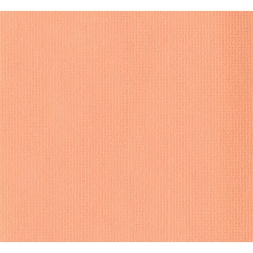江部松商事　EBM　オリビア　テーブルクロス　ロール　１５００ｍｍ×１００ｍ　オレンジ　【品番：1423412】