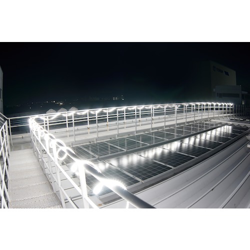 ハタヤリミテッド　ハタヤ　ＬＥＤテープライト片面発光タイプ（２．５ｍ単体）　【品番：LTP-025】_5