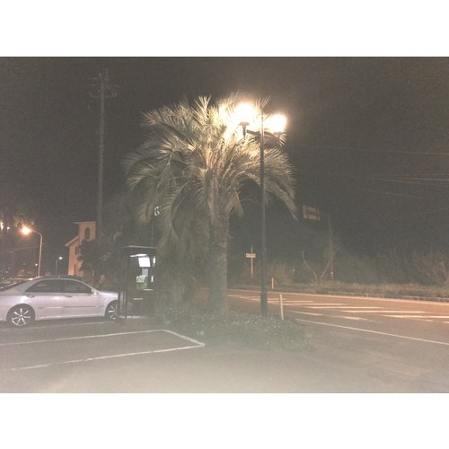 天草池田電機　ＥＬＩ　Ｌａｍｐ　ＢＵ?５０Ｗ?Ｅ２６?Ｎ?ＷＴ　屋外用　【品番：002969】_3