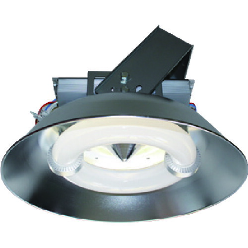 天草池田電機　ＥＬＩ　Ｌａｍｐ　ＰＬ?５６４Ａ?ＣＣ２６０Ｗ?Ａ　屋内用　【品番：003454】