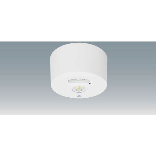 アイリスオーヤマ　ＩＲＩＳ　ＬＥＤ照明器具　２８９１５７　非常灯　低天井用　直付形　Φ１６０　４５０ｌｍ　昼白色　（５０００）　【品番：IREL-CL3H/160-W】