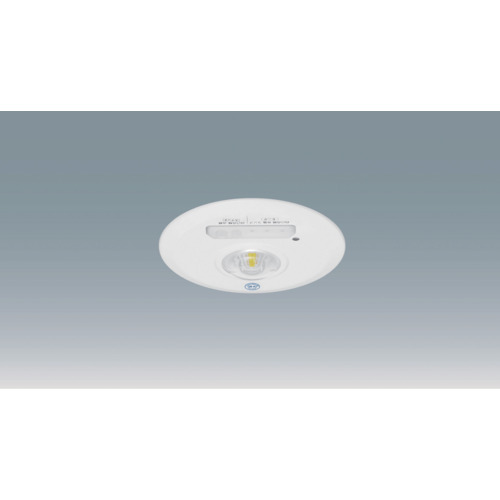 アイリスオーヤマ　ＩＲＩＳ　ＬＥＤ照明器具　２８９１５５　非常灯　低天井用　埋込形　Φ１５０　４５０ｌｍ　昼白色　（５０００）　【品番：IREL-DL3H/150-W】