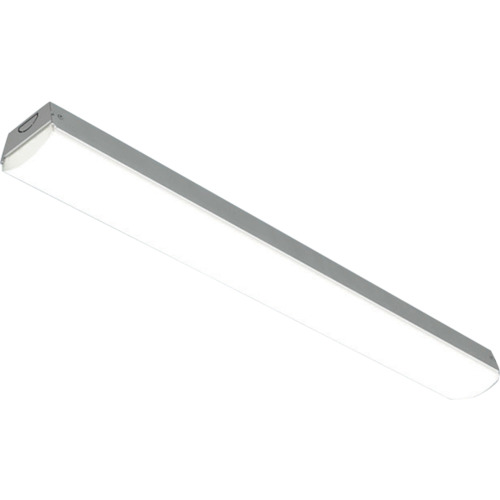 アイリスオーヤマ　ＩＲＩＳ　４１００７８０９　ベースライト　トラフ型　２０形　Ｗ８０　８００ｌｍ　昼白色　（５０００）　非調光　【品番：LX3-170-10N-TR20】