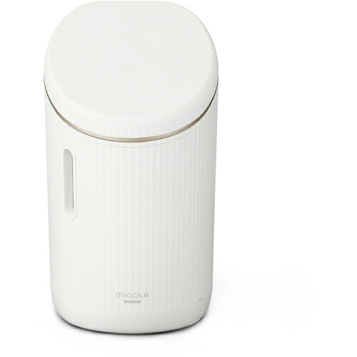 アイリスオーヤマ　ＩＲＩＳ　１０４６０１　フェイススチーマー　ホワイト　【品番：FST-101-W】