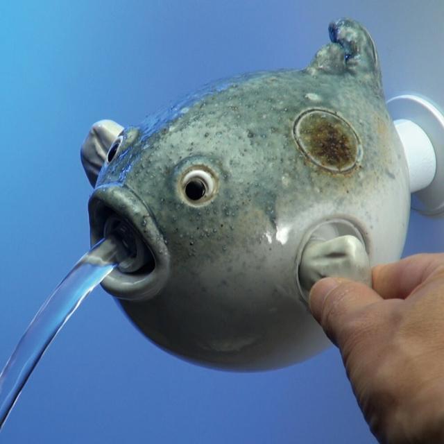 カクダイ　Da Reya　雑魚とは違うのだよ　【品番：711-060-13】