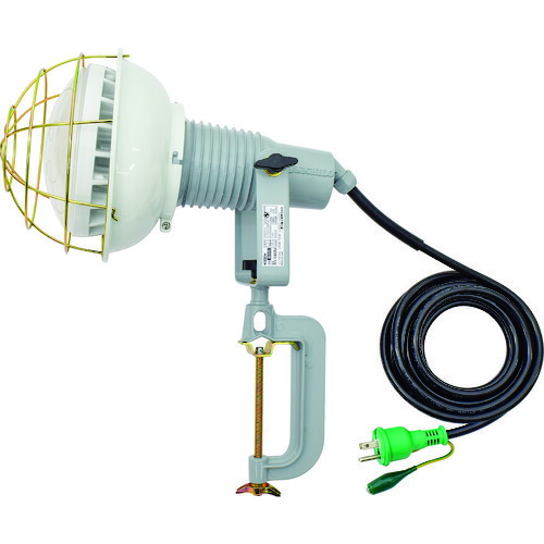 日動工業　エコビックＬＥＤ投光器４０Ｗ　昼白色　Ｅ付　５Ｍ　ＰＮ電線　【品番：AFL-E4005JPN】