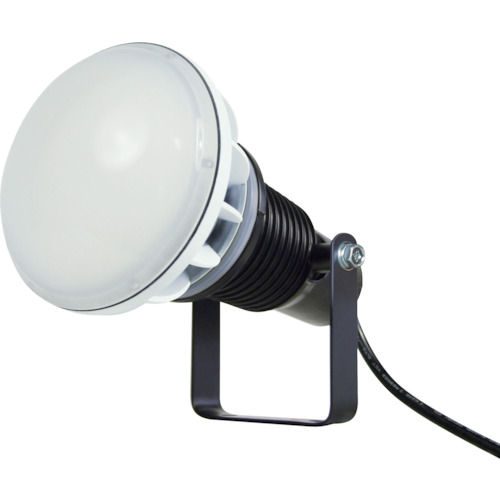 日動工業　エコビックＬＥＤ投光器４０Ｗ　常設型　昼白色　電線１．５ｍ　本体黒　【品番：AFL-E40J-BK】
