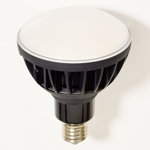 日動工業　ハイスペックエコビック５０Ｗ　【品番：L50V2-J110BK-30K】