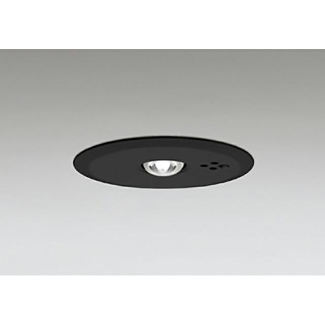 ODELIC オーデリック 天井・壁面直付型LED誘導灯B級両面型 OR037516