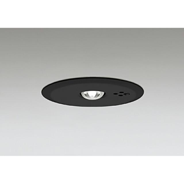 オーデリック　非常用照明器具 誘導灯器具　【品番：OR 036 317K1】