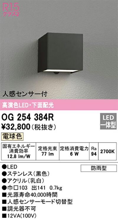オーデリック　エクステリア ポーチライト　【品番：OG 254 384R】_1