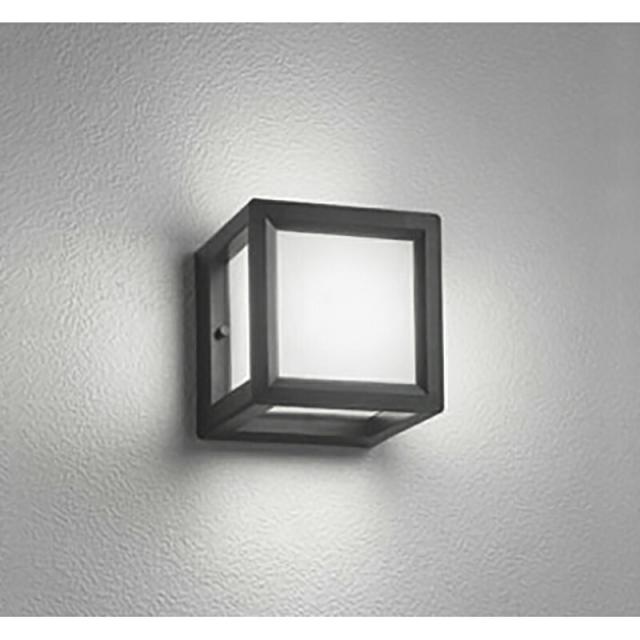 オーデリック　エクステリア ポーチライト　【品番：OG 254 990WR】