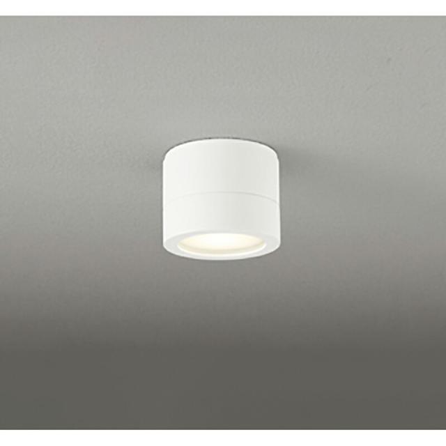 オーデリック　エクステリア ポーチライト　【品番：OG 264 062LR】