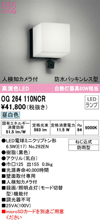 オーデリック　エクステリア ポーチライト　【品番：OG 264 110NCR】_1