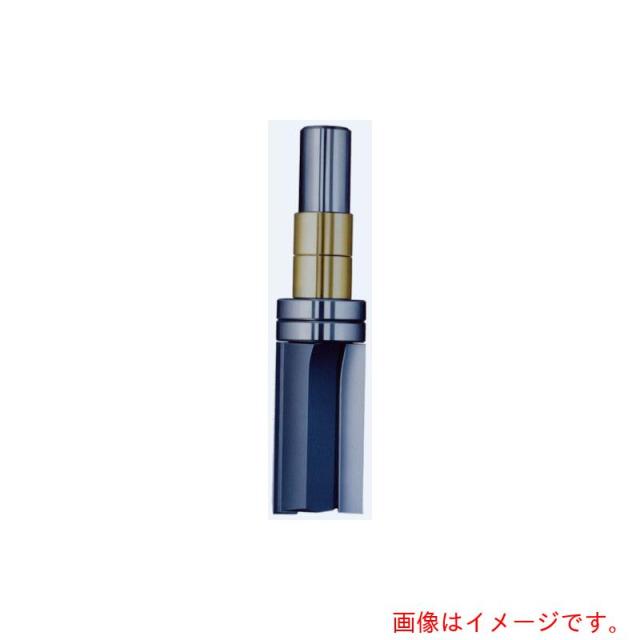 大見工業　大日商　ガイドべアリング付ストレートビット　１２×２１　Ｌ４０　【品番：GL40】