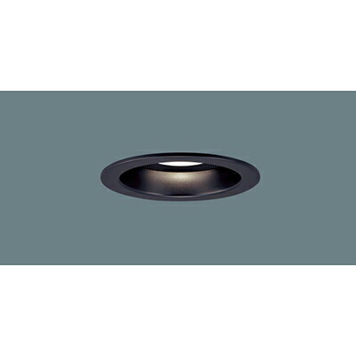パナソニック　天井埋込型 LED（電球色） ダウンライト 美ルック 浅型10H 高気密SB形 ビーム角24度 集光タイプ 調光タイプ（ライコン別売） スピーカー付／埋込穴φ100　【品番：LGD1170LLB1】