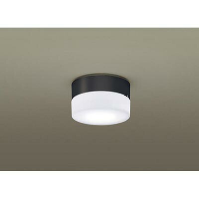 パナソニック　天井直付型 壁直付型 LED（昼白色） シーリングライト 拡散タイプ LEDフラットランプ交換型 防雨型　【品番：XLGE5016CE1（LGW51769B + LLD4000N CE1）】