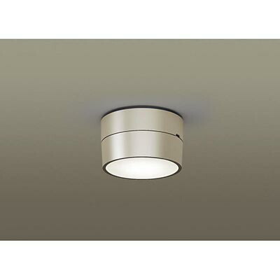 パナソニック　天井直付型 LED（電球色） シーリングライト 拡散タイプ LEDフラットランプ交換型 防雨型　【品番：XLGE5117CE1（LGW51779Y + LLD4000L CE1）】