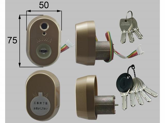 TRUSCO LED投光器 DELKURO 20W 5m アース付き 2芯3芯両用タイプ RTLE205EP ＴＲＵＳＣＯ ＬＥＤ投光器 ＤＥＬＫＵＲＯ バイスタイプ ２０Ｗ ５ｍ