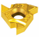 NTKカッティングツールズ　TAEGUTEC　Ｔスレッド　６０°ねじ切りチップ　【5個】　【品番：22ER N 60 TT9030】 20,719円