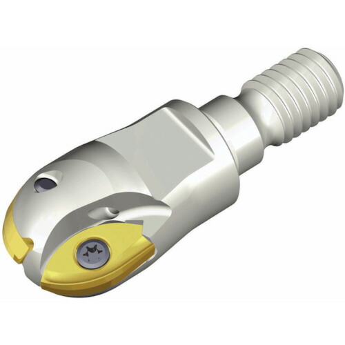 NTKカッティングツールズ　TAEGUTEC　モジュラーヘッド交換式エンドミル　フレックステック２枚刃　デュエットボール　【品番：2F 25-17-M12】