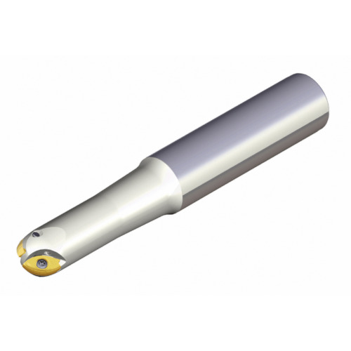NTKカッティングツールズ　TAEGUTEC　ボールエンドミル　デュエットボール　２枚刃　【品番：2F 32-21-32-L180】