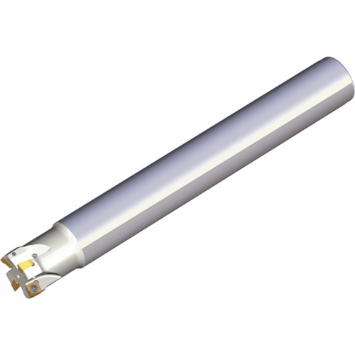 NTKカッティングツールズ　TAEGUTEC　エンドミル　チェイスＰミル　４枚刃　【品番：2P-TE90-420-W20-05-L160】