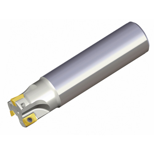 NTKカッティングツールズ　TAEGUTEC　エンドミル　チェイスミル　２枚刃　【品番：2S-TE90AP 226-25-09-L】