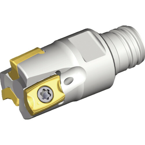 NTKカッティングツールズ　TAEGUTEC　ミーリングカッター　ウィンミル　Ｔフレックステック　【品番：2S-TE90CV-310-S06-05】