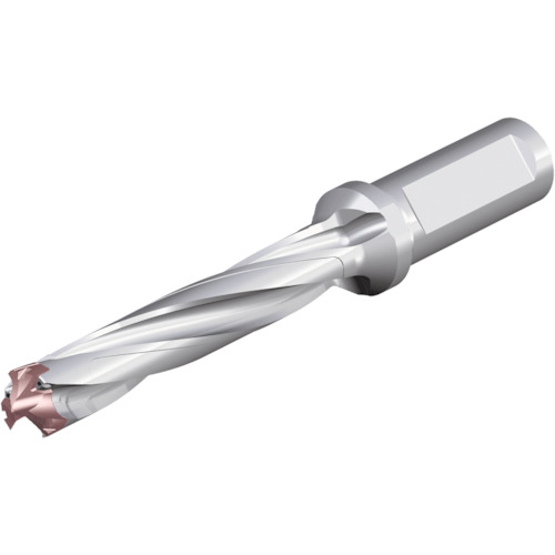 NTKカッティングツールズ　TAEGUTEC　刃先交換式ドリルホルダー　ドリルスフィード　【品番：3ED 180-189-25T2-5D】 43,481円