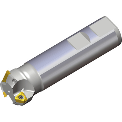 NTKカッティングツールズ　TAEGUTEC　ミルラッシュ：カッター　【品番：3P-TCF45-309-12-06】 26,960円