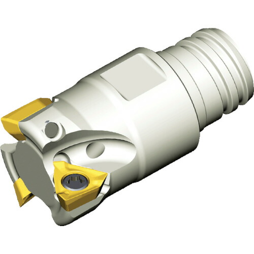 NTKカッティングツールズ　TAEGUTEC　ミーリングカッター　ミルラッシュ　Ｔフレックス　【品番：3P-TE90-210-S06-04】