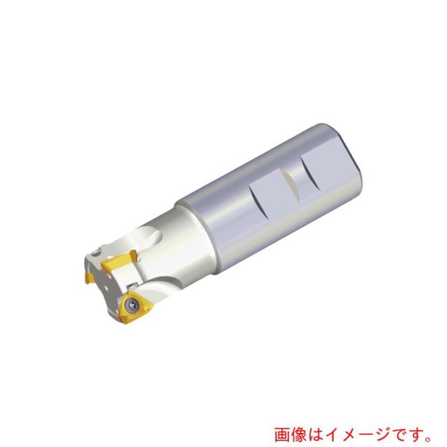 NTKカッティングツールズ　TAEGUTEC　ミーリングカッター　ミルラッシュ　【品番：3P TE90-333-32-10-L250】