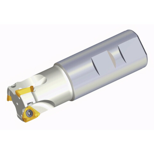 NTKカッティングツールズ　TAEGUTEC　ミーリングカッター　ミルラッシュ　【品番：3P TE90-421-20-06-L160】 24,324円