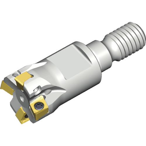 NTKカッティングツールズ　TAEGUTEC　ミーリングカッター　チェイス４ミル　【品番：4N TE90-211-M06-04】