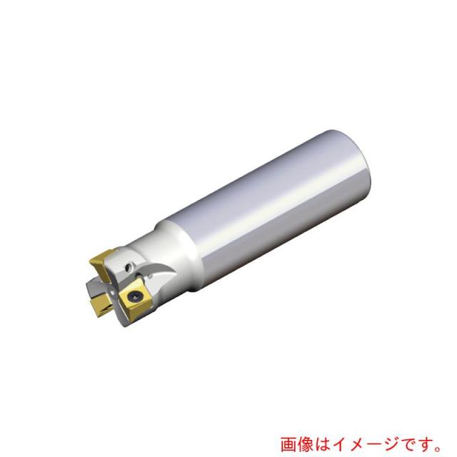NTKカッティングツールズ　TAEGUTEC　ミーリングカッター　チェイス４ミル　【品番：4N TE90-220-20-09-L170】