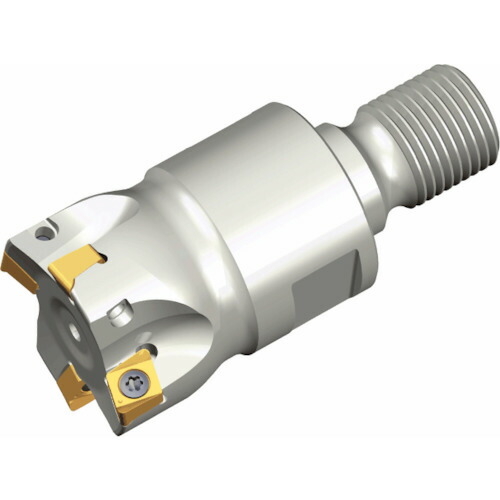 NTKカッティングツールズ TAEGUTEC ミーリング裁断師 チェイス４粉砕機 【品番：4N TE90-220-M10-06】