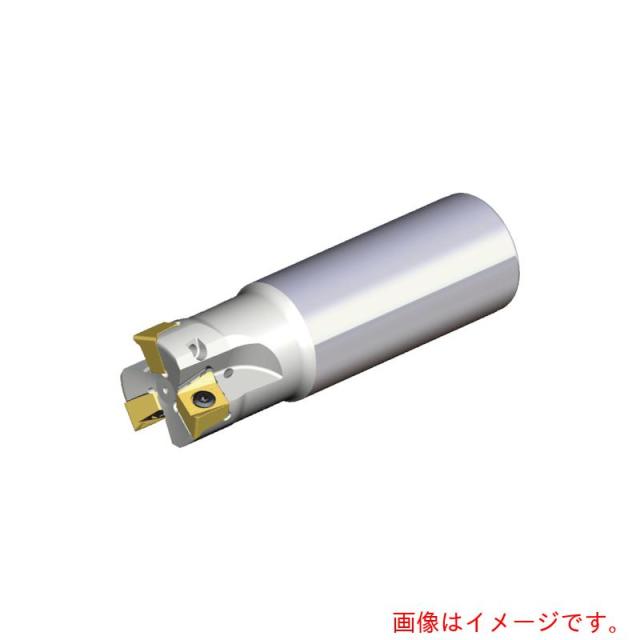 NTKカッティングツールズ TAEGUTEC ミーリング裁断師 チェイス４粉砕機 【品番：4N TE90-225-25-11-L200】