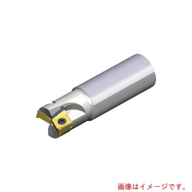 NTKカッティングツールズ　TAEGUTEC　ミーリングカッター　チェイス４ミル　【品番：4N TE90-232-32-14-L250】