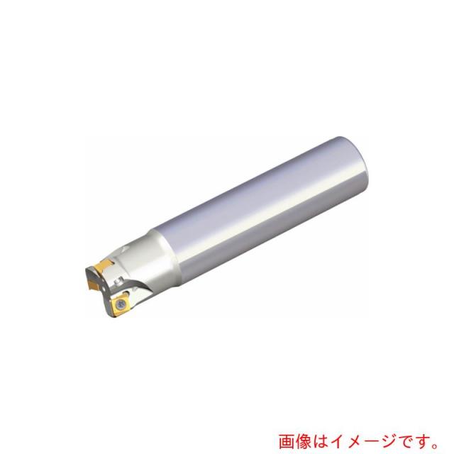 NTKカッティングツールズ　TAEGUTEC　ミーリングカッター　チェイス４ミル　【品番：4N TE90-320-20-06-L110】