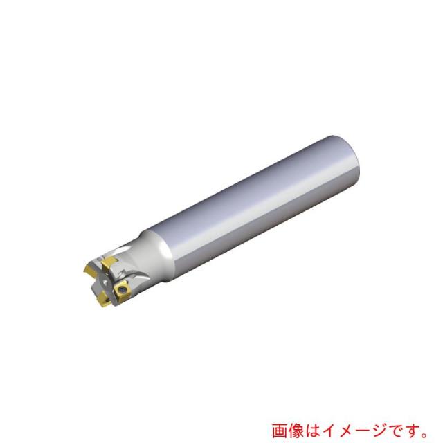 NTKカッティングツールズ　TAEGUTEC　ミーリングカッター　チェイス４ミル　【品番：4N TE90-520-W20-04】